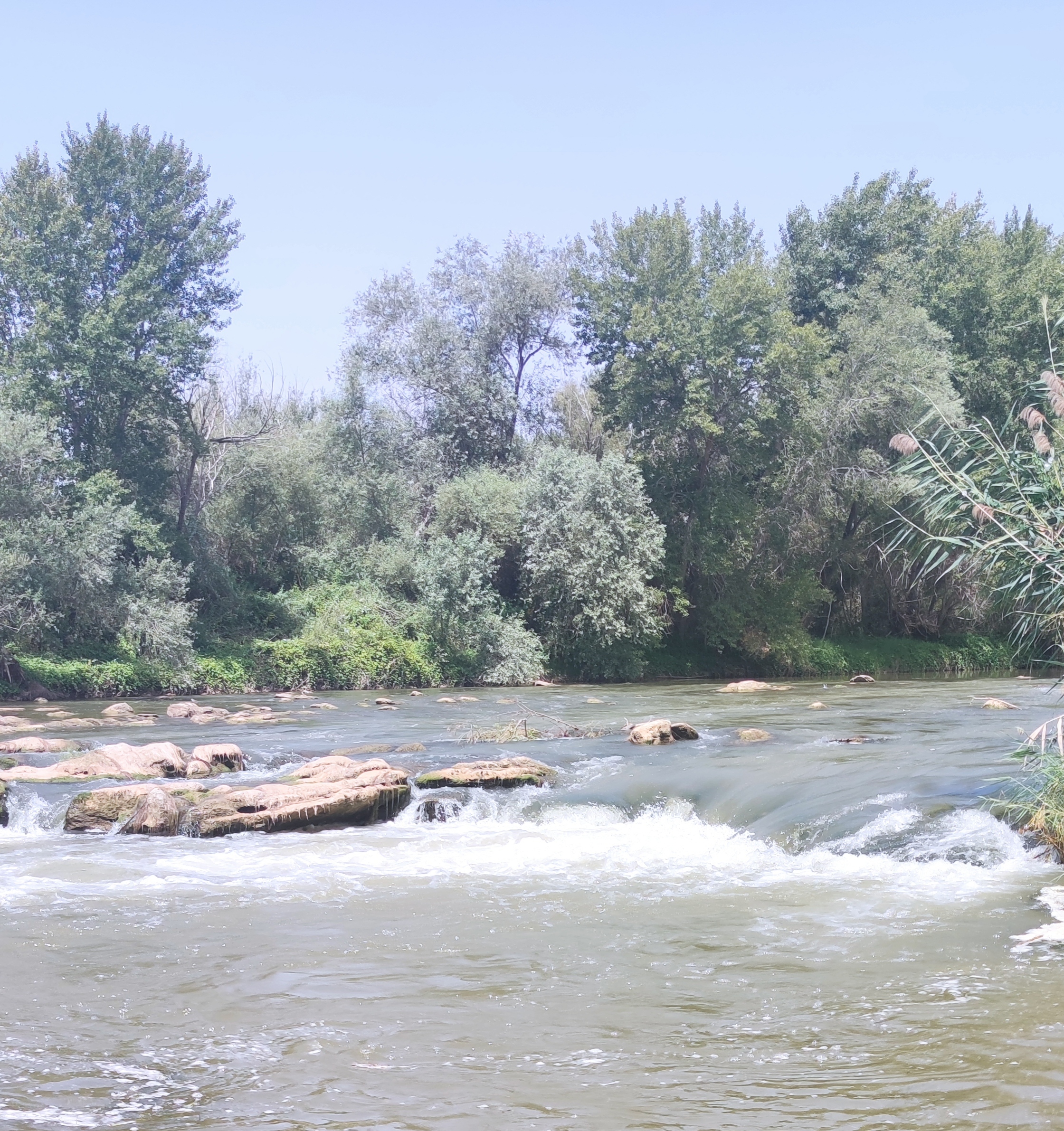 INSPECCIÓN DE LOS ACCESOS A PUNTOS DE INTERVENCIÓN.